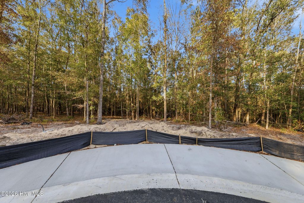 Photo of 1041 Brooke Ridge Lane, Southport, NC 28461 (MLS # 100556106)