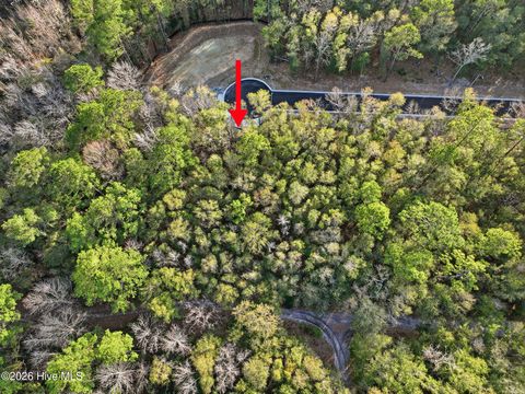 Tiny photo for 1041 Brooke Ridge Lane, Southport, NC 28461 (MLS # 100556106)