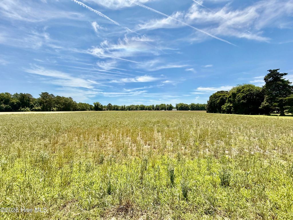 Photo of 0 Kings Crossroads Road, Fountain, NC 27829 (MLS # 100577960)