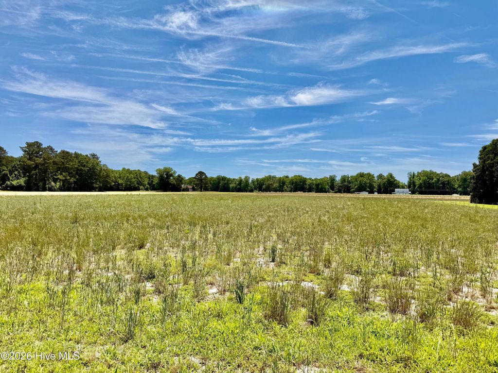 Photo of 0 Kings Crossroads Road, Fountain, NC 27829 (MLS # 100577960)