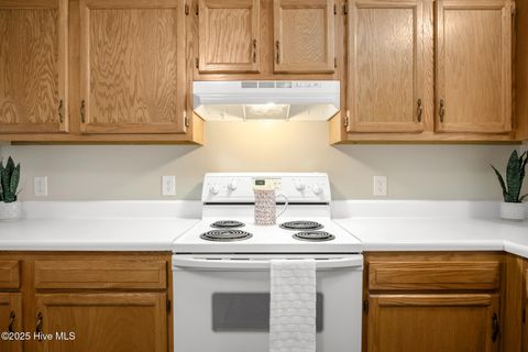 Tiny photo for 338 Bracken Place, Jacksonville, NC 28540 (MLS # 100546493)