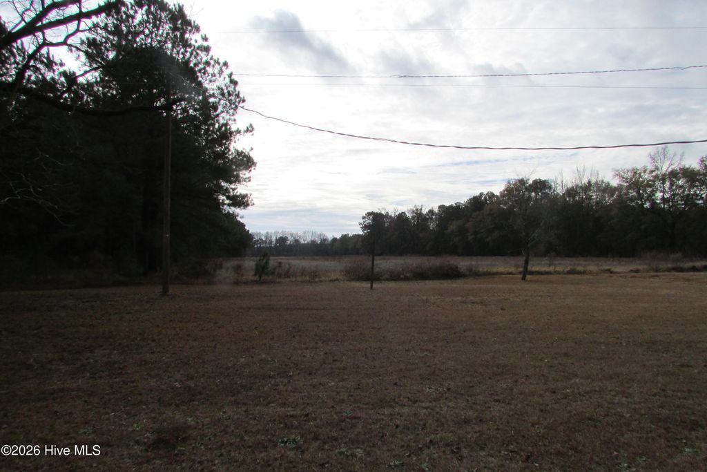 Photo of 8401 Boykin Bridge Road, Clinton, NC 28328 (MLS # 100558649)