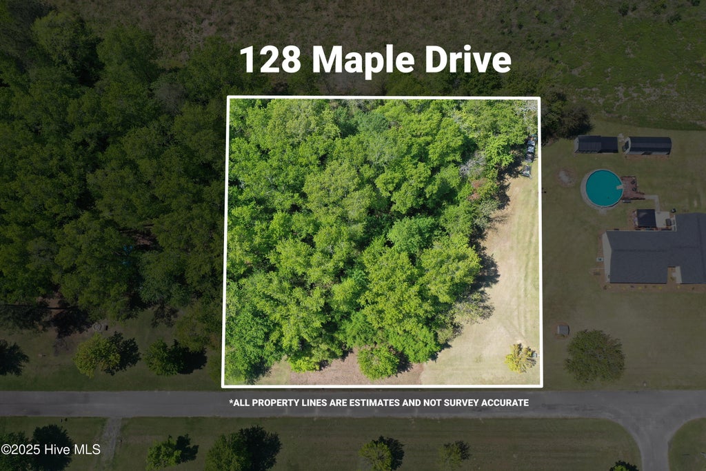 Photo of 128 Maple Drive, Whiteville, NC 28472 (MLS # 100601259)