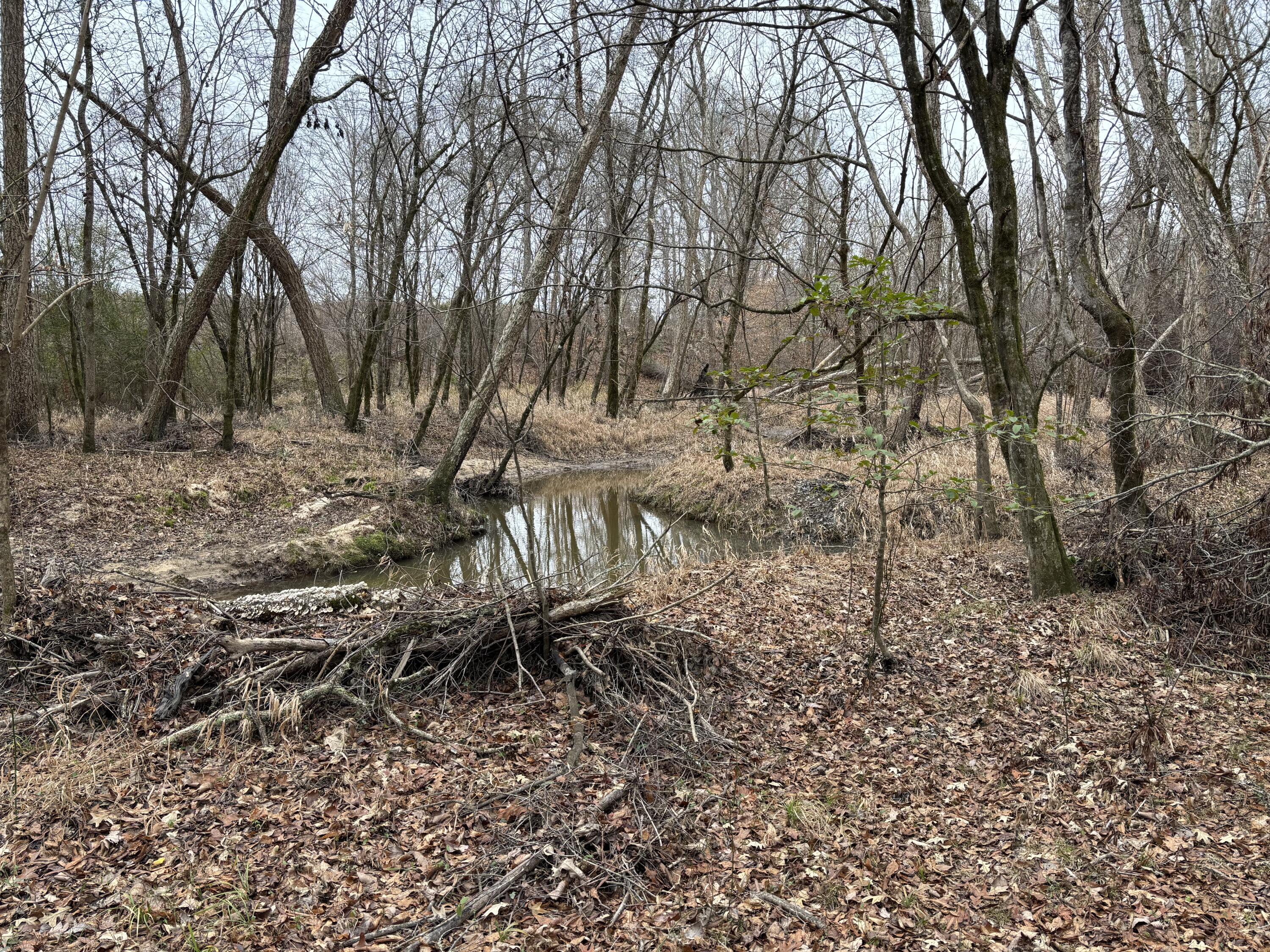 LOT 8 BLACK PEARL Drive