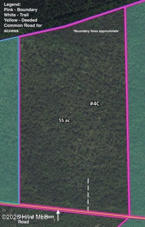 Photo of 4 Straight Road, Merritt, NC 28556 (MLS # 100613382)