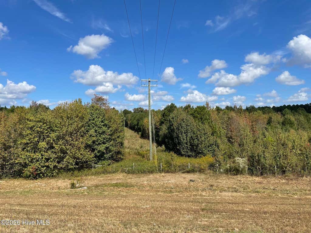 Photo of 1 Dunn Road Ext, Roseboro, NC 28382 (MLS # 100590536)