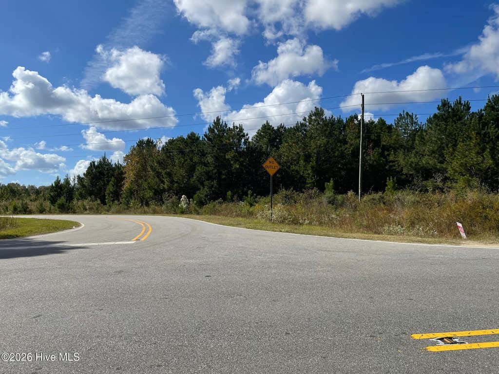 Photo of 1 Dunn Road Ext, Roseboro, NC 28382 (MLS # 100590536)