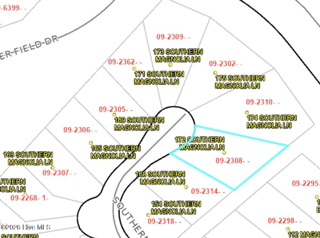 Photo of 172 Southern Magnolia Lane, Wallace, NC 28466 (MLS # 100553739)