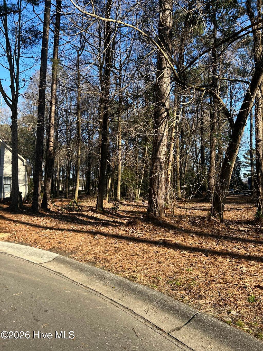 Photo of 172 Southern Magnolia Lane, Wallace, NC 28466 (MLS # 100553739)