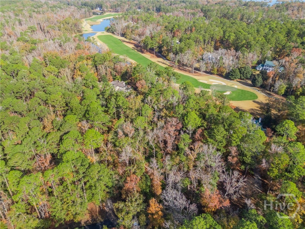 Photo of 204 Dogwood Way, Richmond Hill, GA 31324 (MLS # SA359163)