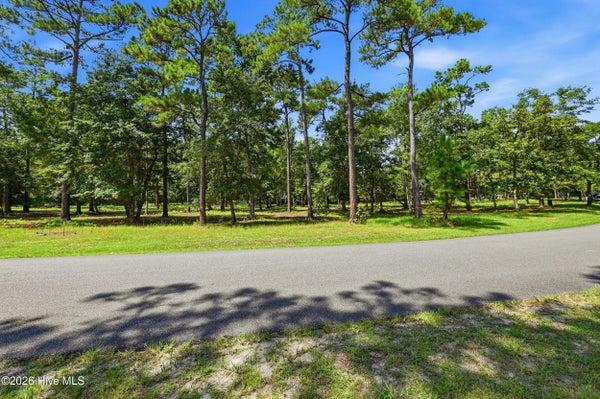 739 LOBLOLLY DR SW, SHALLOTTE, NC 28470 - Image b618023969bfbd0cd5d6ef2bb0b7c15a/2211718779