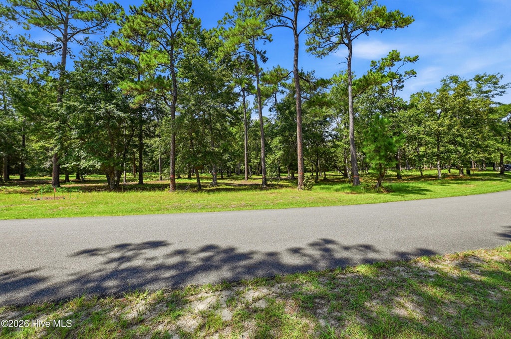 Photo of 739 Loblolly Drive SW, Shallotte, NC 28470 (MLS # 100601419)
