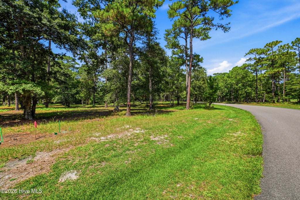 Photo of 739 Loblolly Drive SW, Shallotte, NC 28470 (MLS # 100601419)
