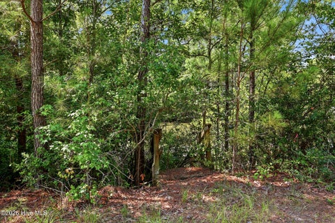 Tiny photo for 739 Loblolly Drive SW, Shallotte, NC 28470 (MLS # 100601419)