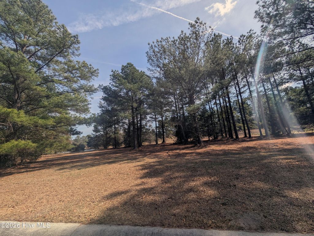 Photo of 117 Cedar Point Drive, Wallace, NC 28466 (MLS # 100561246)