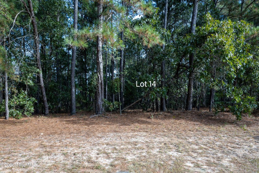 Photo of 14 Old Tom Morris Road, Garland, NC 28441 (MLS # 100535918)