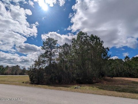Tiny photo for 248 Kings Creek Crossing, Holly Ridge, NC 28445 (MLS # 100559912)