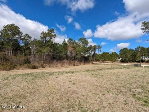 Tiny photo for 248 Kings Creek Crossing, Holly Ridge, NC 28445 (MLS # 100559912)