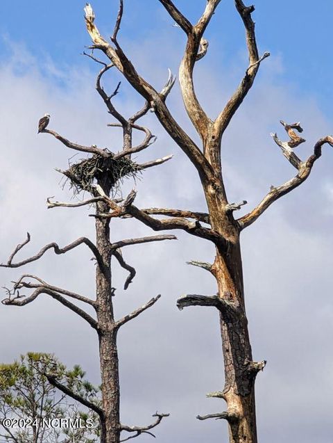 Tiny photo for 248 Kings Creek Crossing, Holly Ridge, NC 28445 (MLS # 100559912)