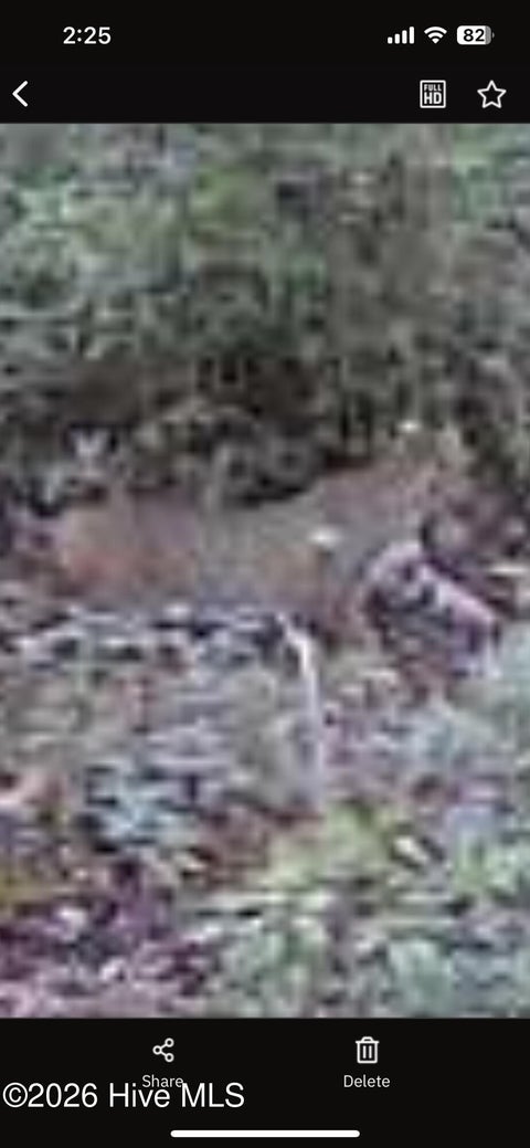 Tiny photo for 000 Sand Ridge Road, Hubert, NC 28539 (MLS # 100593774)