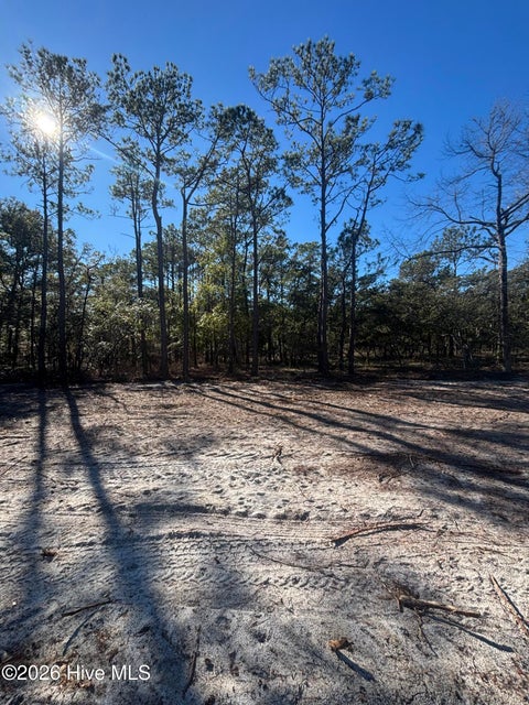 Vacant Land For Sale - LOT 111 Egret Walk Court<br/> Southport, NC 28461