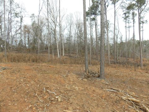 Vacant Land For Sale - 3 E Mosley Road<br/> Lincoln County, Lincolnton, GA 30817
