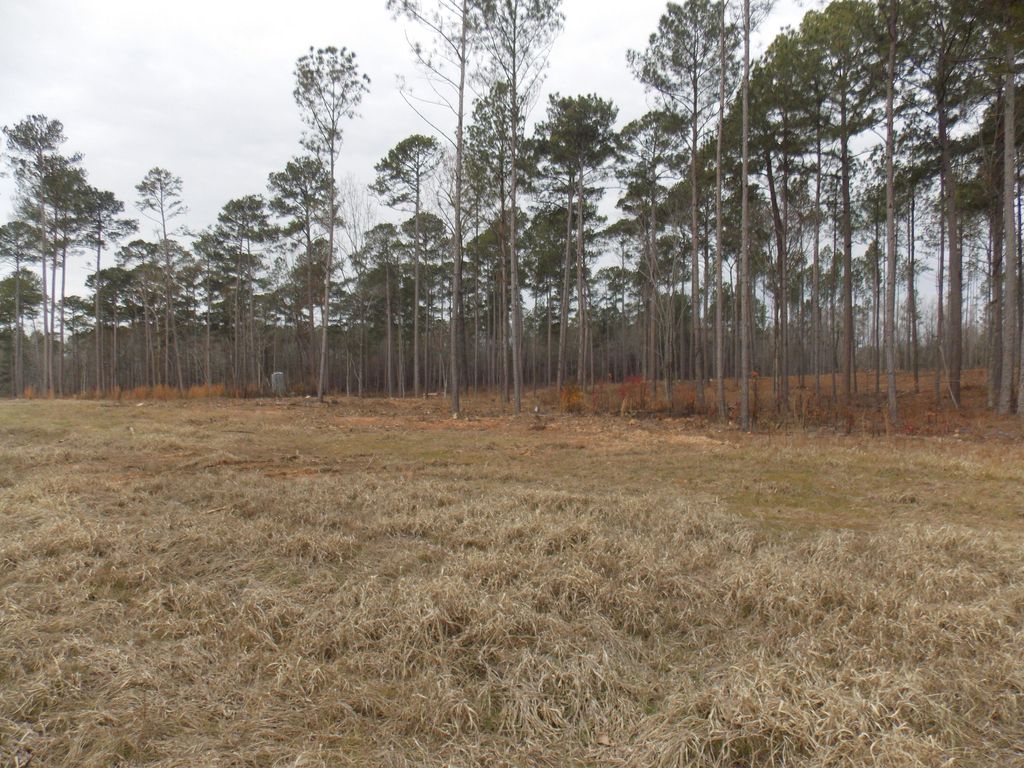 Photo of 3 E Mosley Road, Lincolnton, GA 30817 (MLS # 550353)