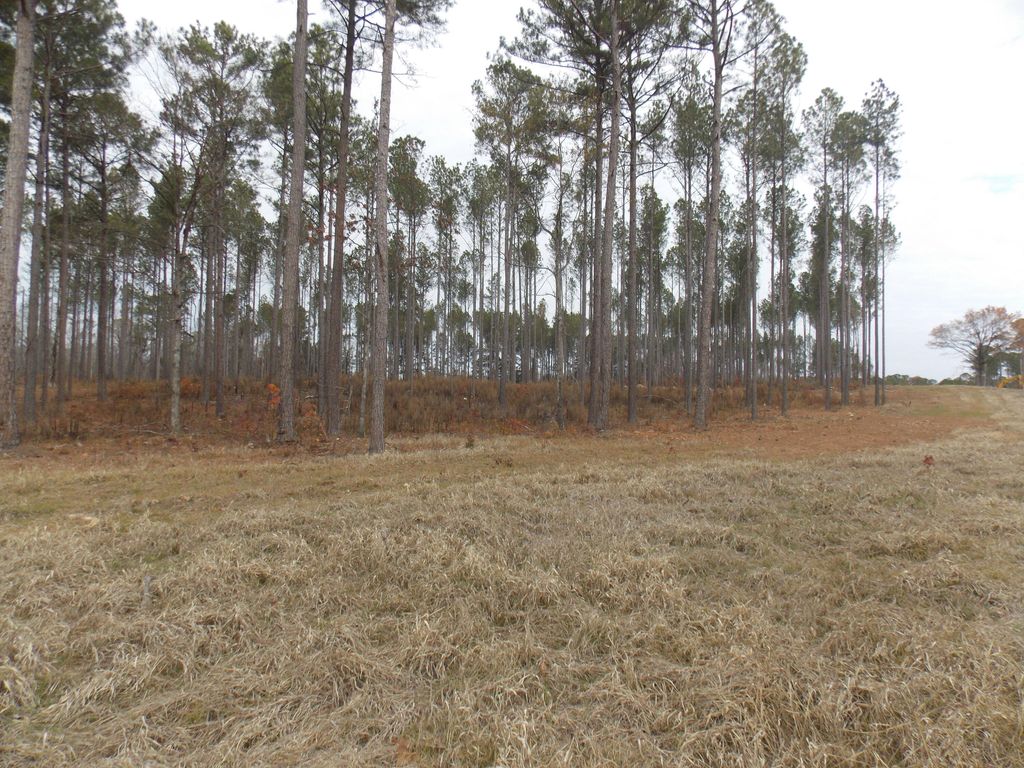 Photo of 3 E Mosley Road, Lincolnton, GA 30817 (MLS # 550353)