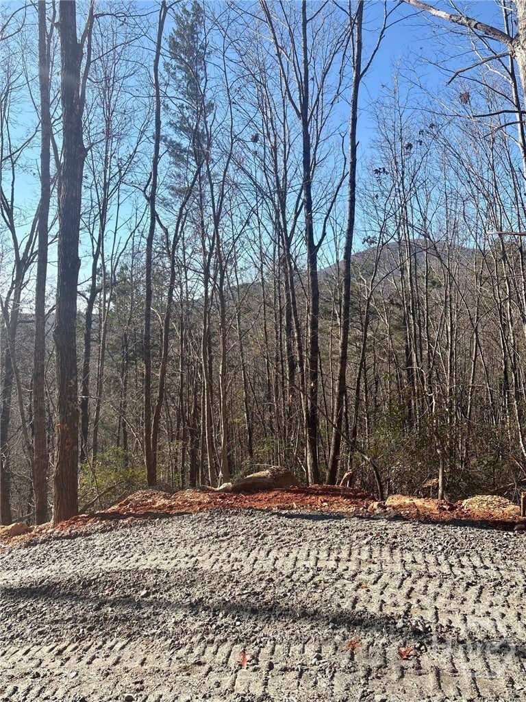 Photo of 28 Sal Mountain Way, Sautee Nacoochee, GA 30571 (MLS # CL365632)