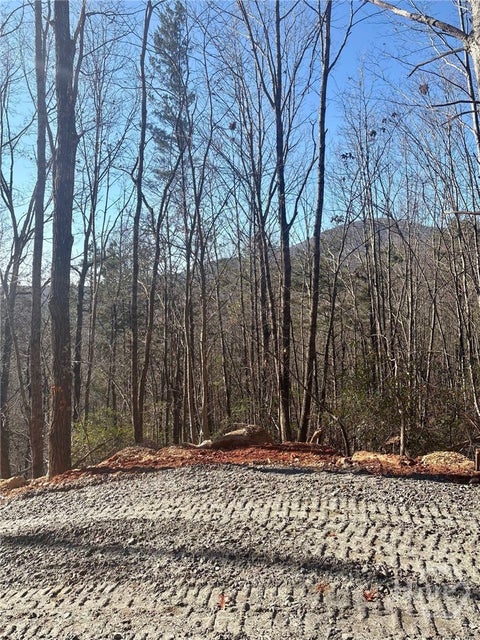 Vacant Land For Sale - 28 B Sal Mountain Way<br/> White County, Sautee Nacoochee, GA 30571