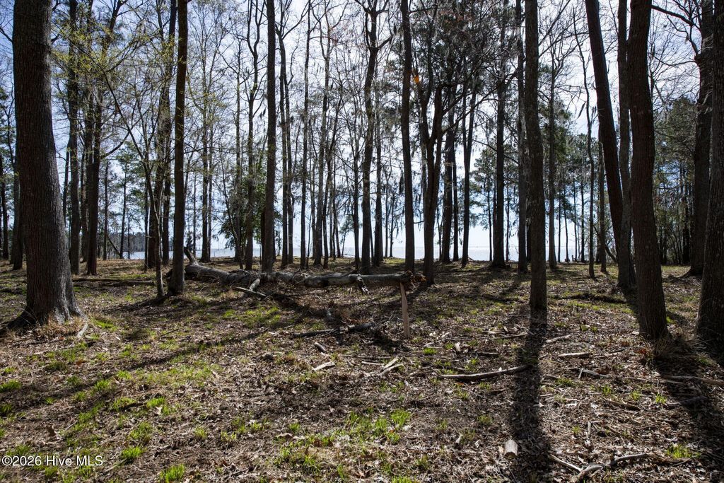 Photo of 6 Peninsula Shores Way, Hertford, NC 27944 (MLS # 100560393)