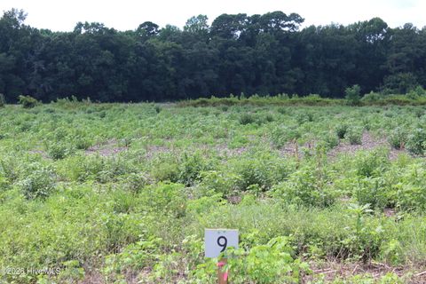 Vacant Land For Sale - 876 Whaley Road<br/> Lenoir County, Kinston, NC 28501