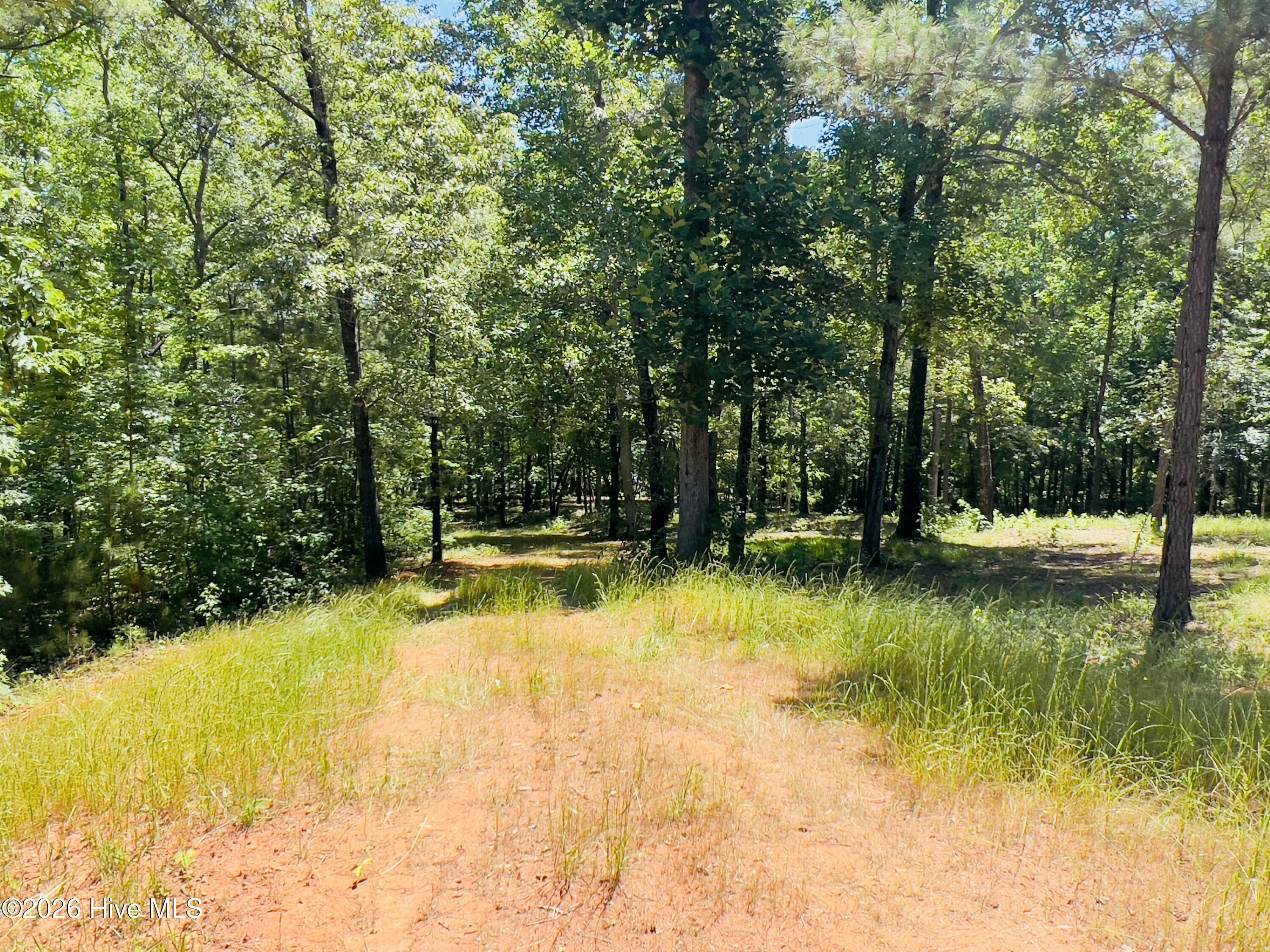 35 A Savannah Bay Drive 1.39 Ac