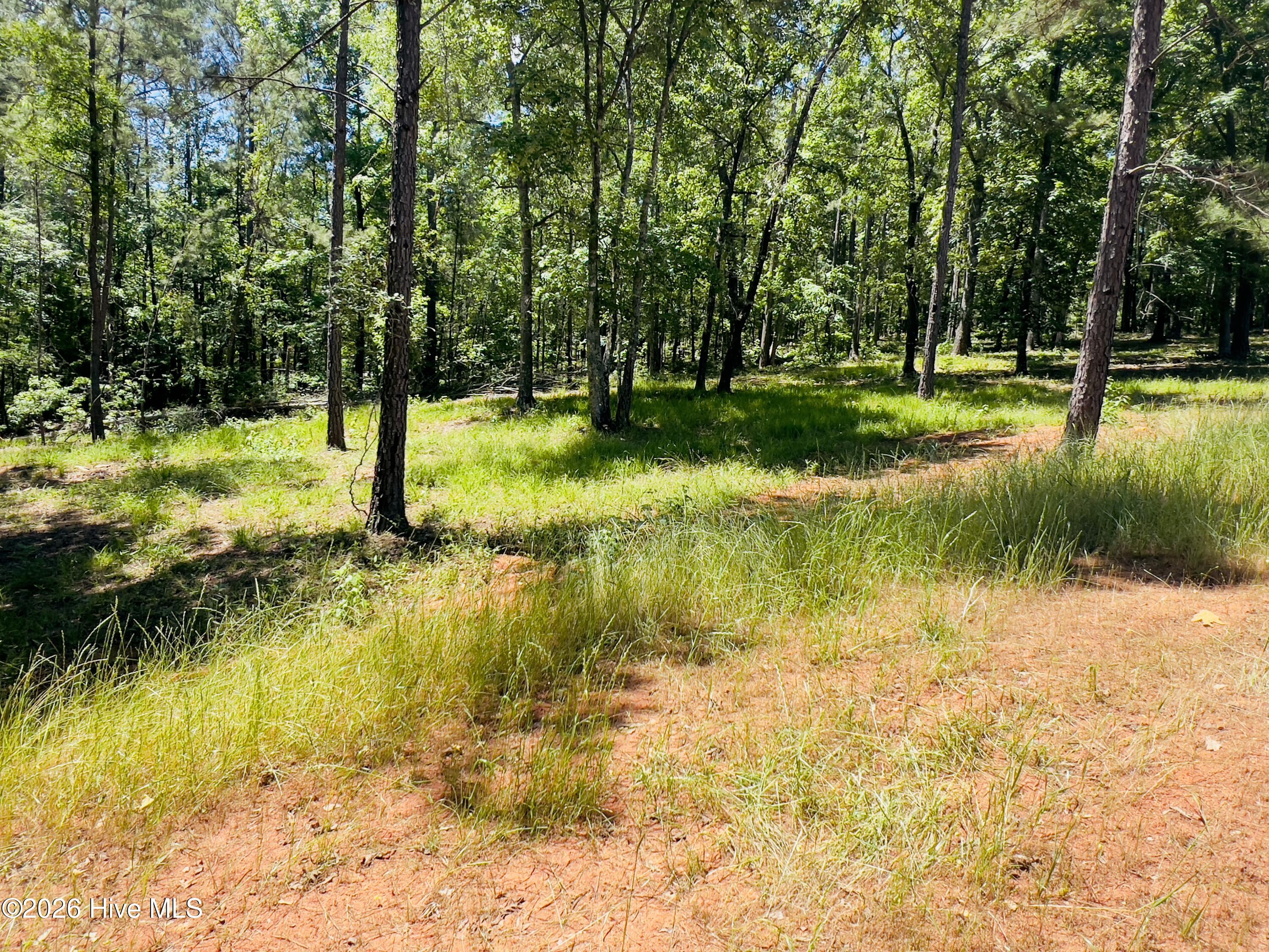 35 A Savannah Bay Drive 1.39 Ac
