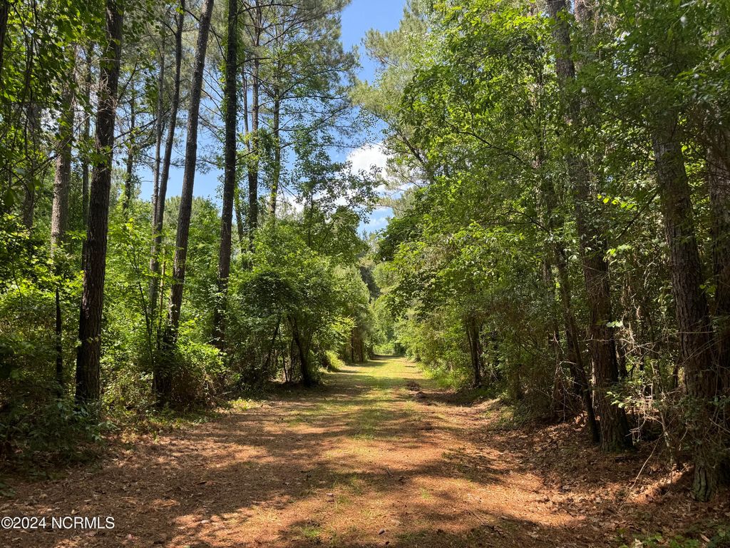 Photo of 000 Nc-133, Rocky Point, NC 28457 (MLS # 100524408)