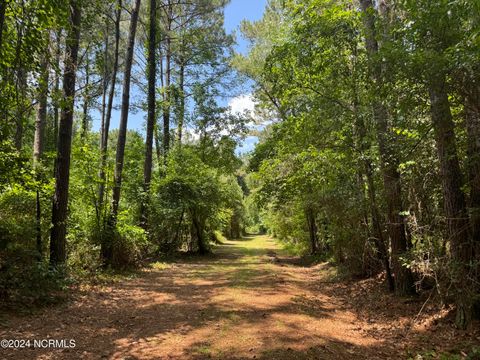 Vacant Land For Sale - 000 Nc-133<br/> Rocky Point, NC 28457