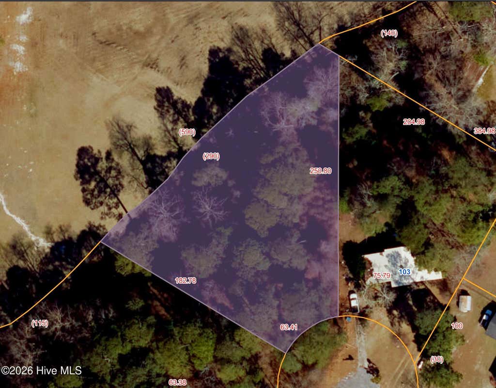 Photo of 24 Crestwood Place, Goldsboro, NC 27530 (MLS # 100581401)