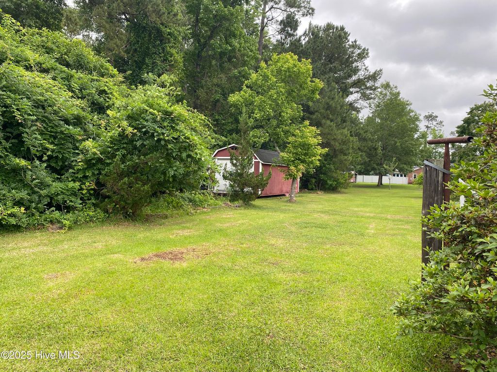 Photo of 3117 Oakley Circle, Castle Hayne, NC 28429 (MLS # 100549380)