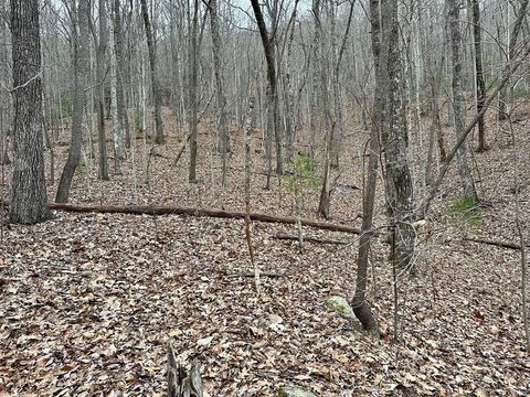Vacant Land For Sale - 15-19 Indian Rock Springs<br/> Murphy, NC 28906