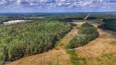 Vacant Land For Sale - Burney Road<br/> Bladen County, White Oak, NC 28399