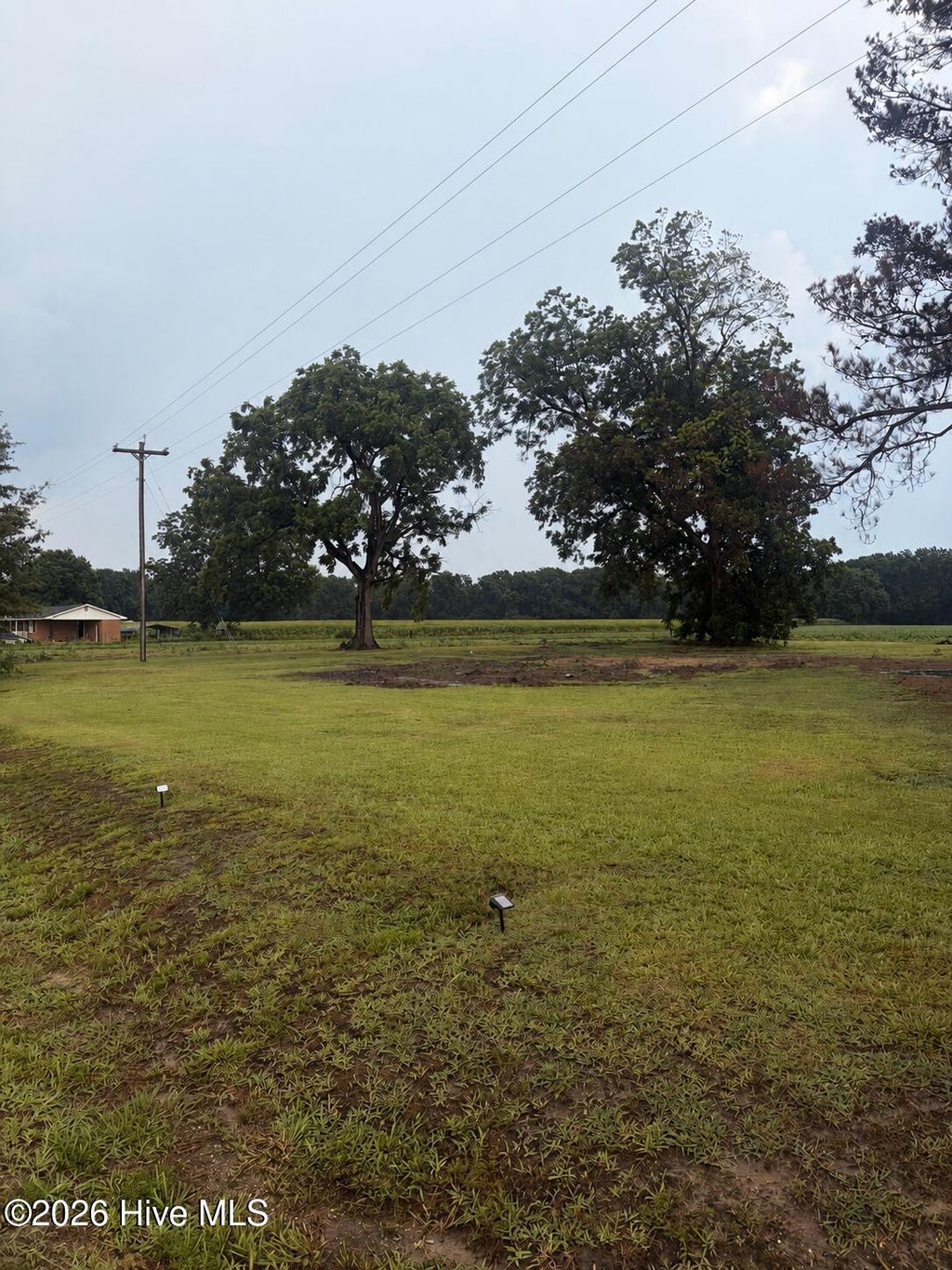 Photo of 315 Flowers Road, Mount Olive, NC 28365 (MLS # 100586813)