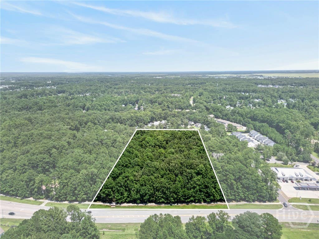 Photo of 0 Harris Trail Road, Richmond Hill, GA 31324 (MLS # SA361946)