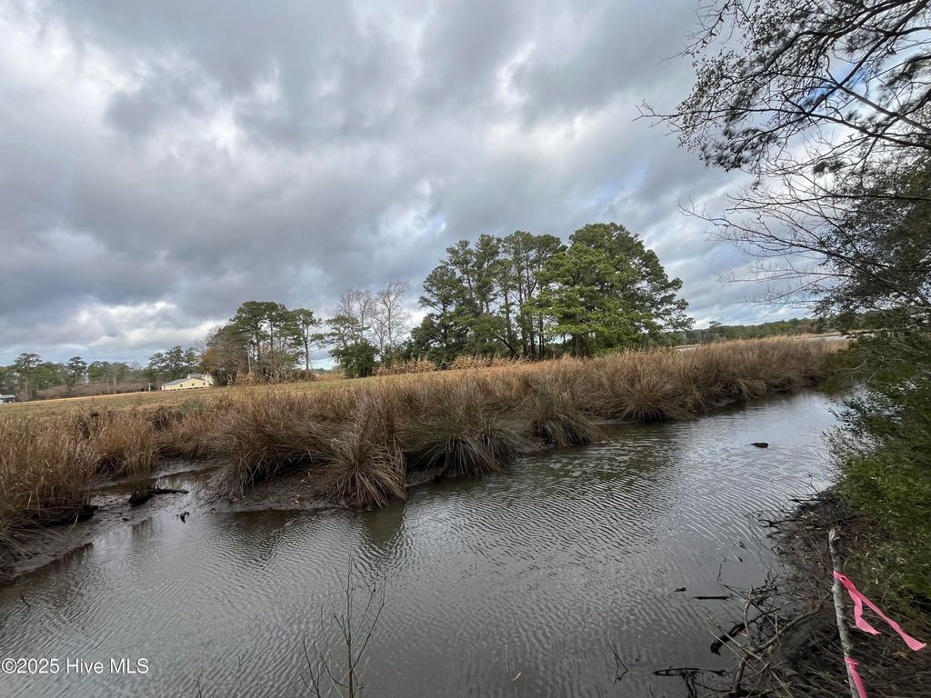 Photo of 249 Roland Road, Arapahoe, NC 28510 (MLS # 100546043)