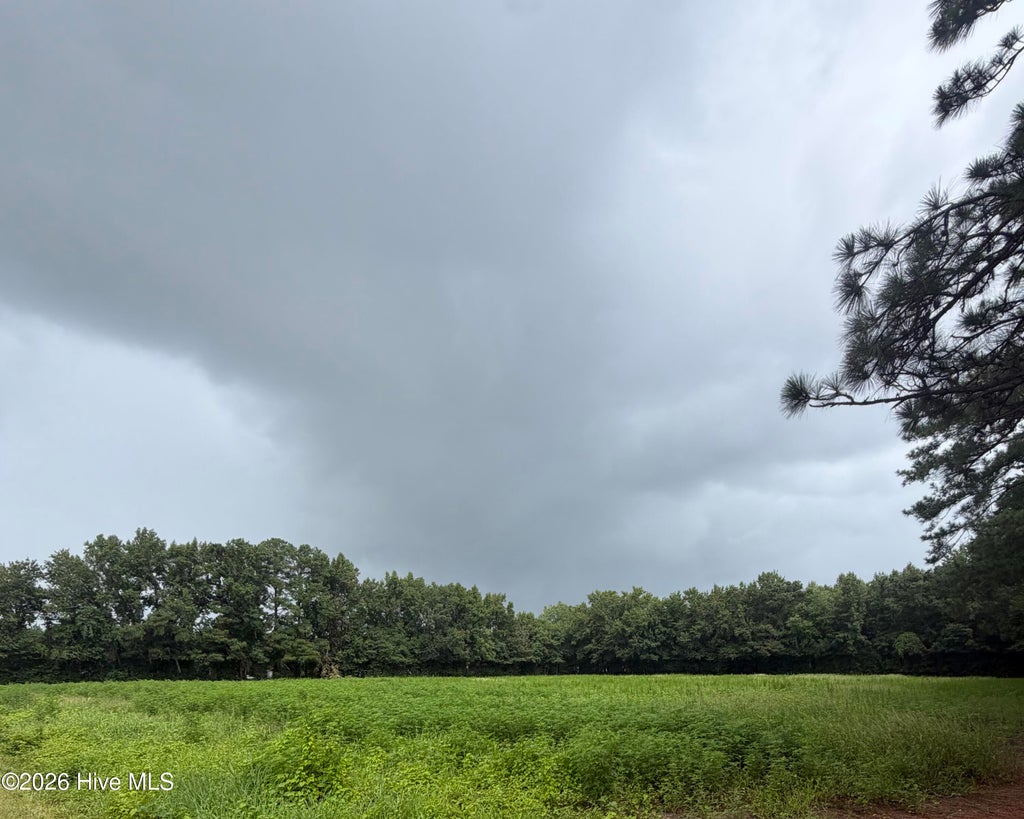 Photo of 1001 Sr 1001, Washington, NC 27889 (MLS # 100593511)