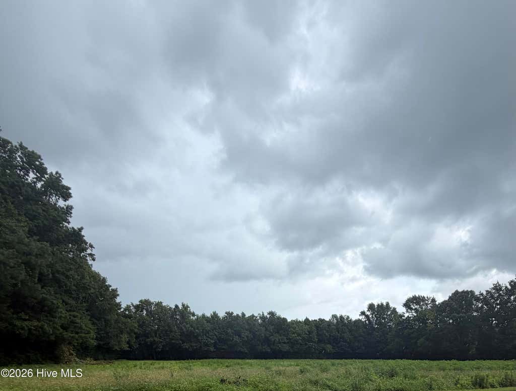 Photo of 1001 Sr 1001, Washington, NC 27889 (MLS # 100593511)