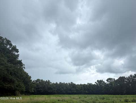 Vacant Land For Sale - 0 SR1001 Cherry Run Road<br/> Washington, NC 27889