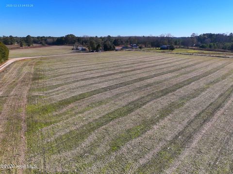Tiny photo for 1563 Croomsbridge Road, Burgaw, NC 28425 (MLS # 100561904)
