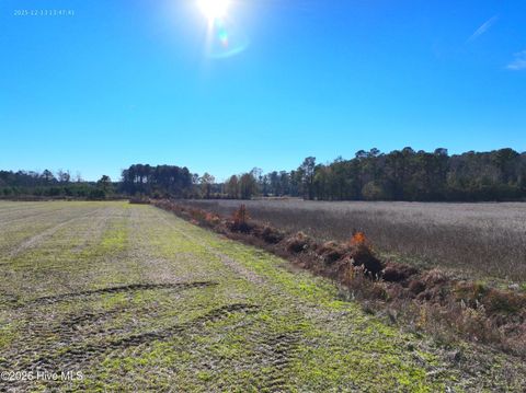 Tiny photo for 1563 Croomsbridge Road, Burgaw, NC 28425 (MLS # 100561904)
