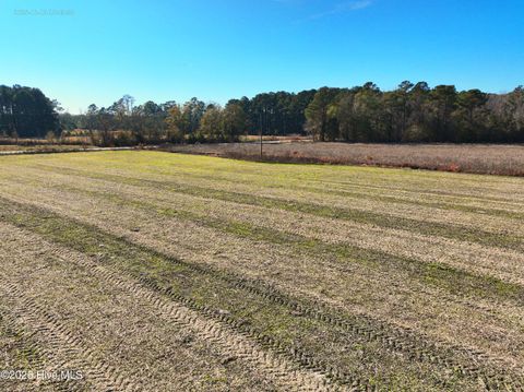 Tiny photo for 1563 Croomsbridge Road, Burgaw, NC 28425 (MLS # 100561904)