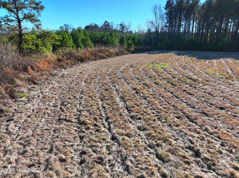 Tiny photo for 1563 Croomsbridge Road, Burgaw, NC 28425 (MLS # 100561904)